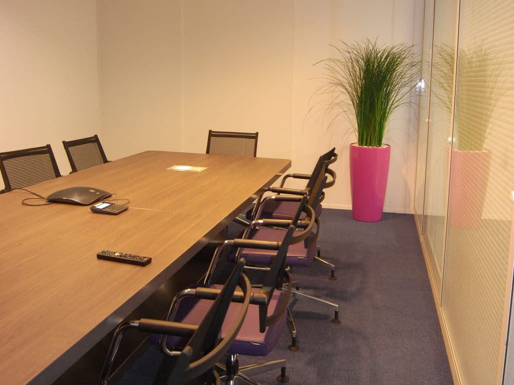 pot rose flashy avec plante dans une salle de réunion
