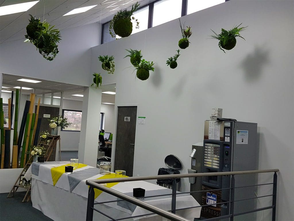 idée décoration avec plantes suspendues