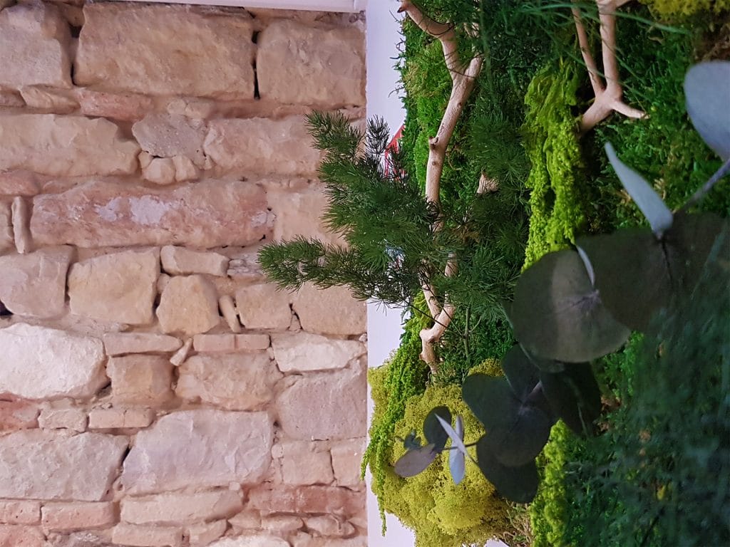 vegetaux stabilisés pour mur vegetal