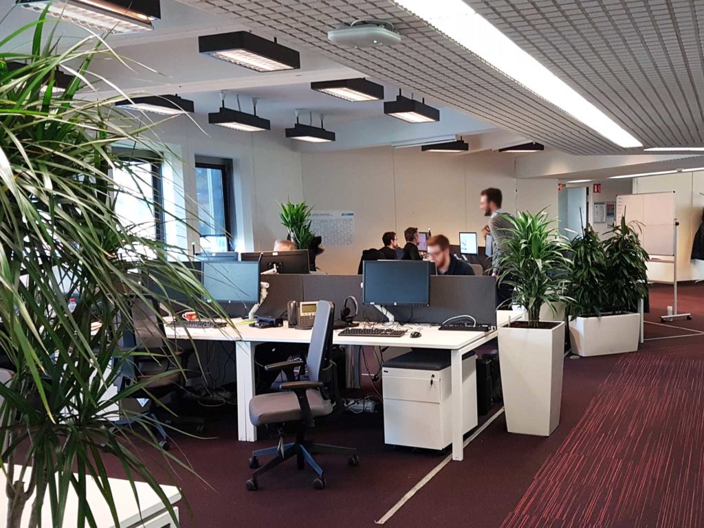 plantes vertes aménagement de bureaux