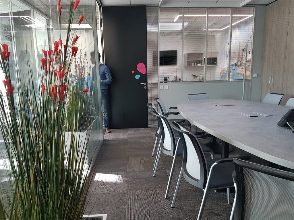 plante dans salle de réunion