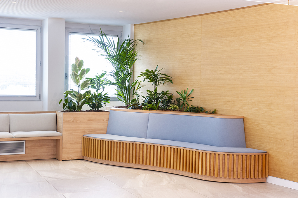 Jardinières avec des plantes à larges feuilles décorant l'arrière d'une zone de détente avec une banquette