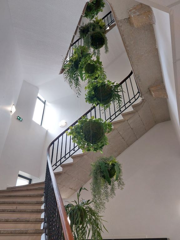 suspension de plantes dans une cage d'escalier